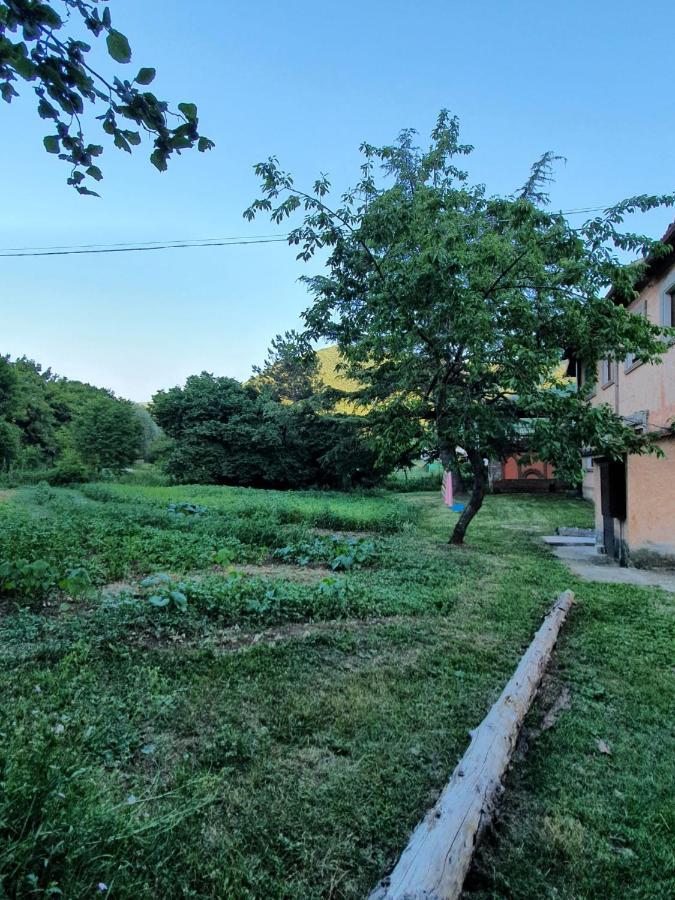 B&B Calecatine Rocca di Botte Eksteriør billede